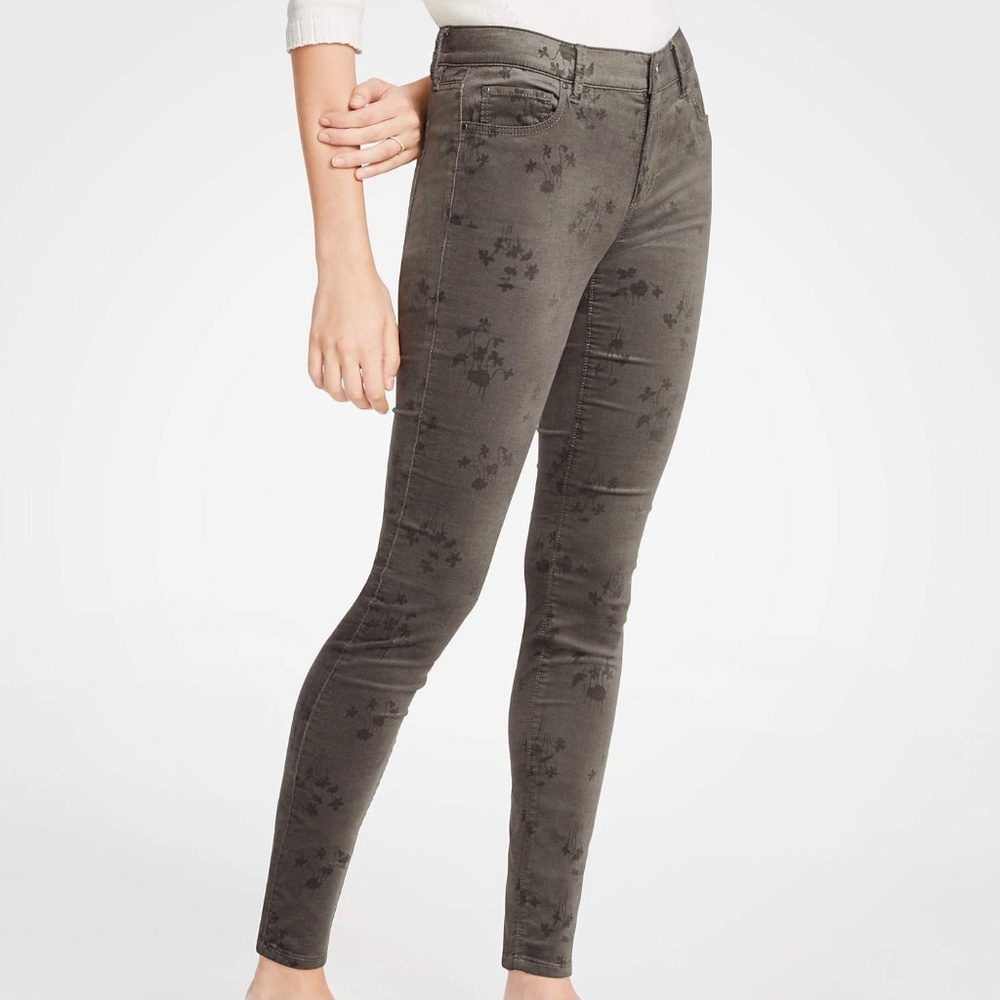 Ann Taylor Velvet Skinny Floral Jeans